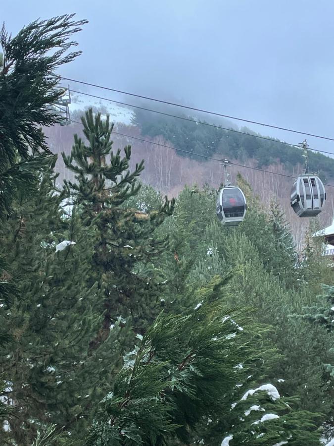 Baqueira 1500 Leilighet Naut Aran Eksteriør bilde
